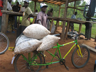 Coffee Bike, Rwanda.  - courtesy Thanksgiving Coffee Co.