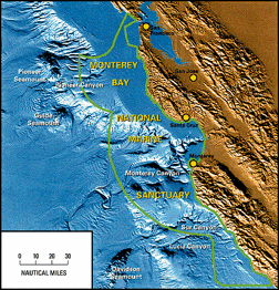 SF Bay (shown at top) and Monterey Bay (south)